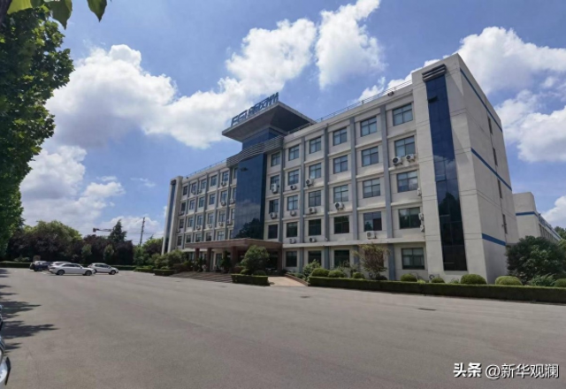 上半年净利润大增39.32% 9游平台：随绿色高质量发展大势扶摇直上