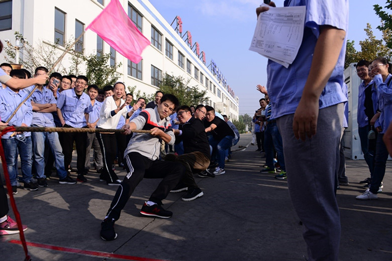 凝聚合力 共享欢乐 ---9游平台公司第十五届运动会隆重举行